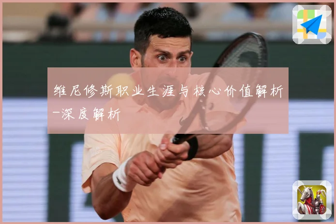 维尼修斯职业生涯与核心价值解析-深度解析