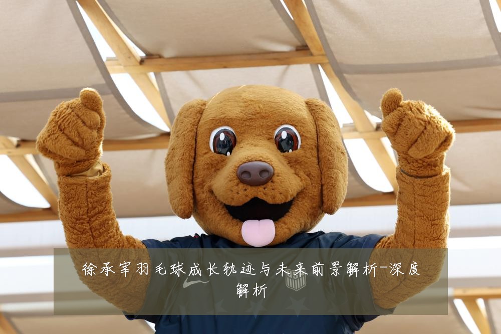 徐承宰羽毛球成长轨迹与未来前景解析-深度解析