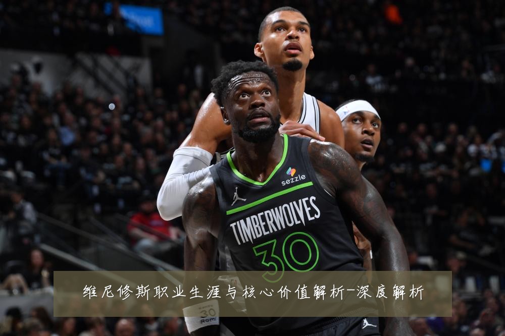 维尼修斯职业生涯与核心价值解析-深度解析