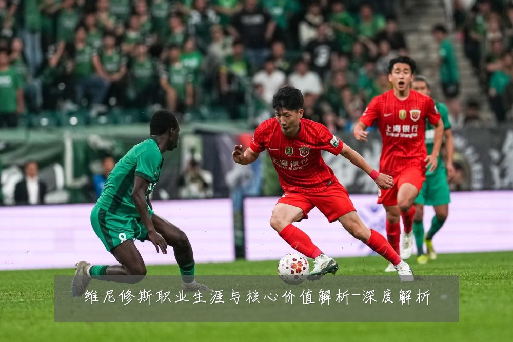 维尼修斯职业生涯与核心价值解析-深度解析